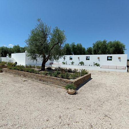 Tenuta Viale Degli Ulivi San Martino in Pensilis Eksteriør bilde