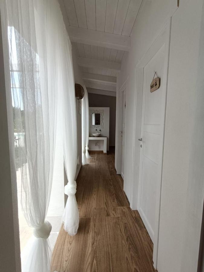 Tenuta Viale Degli Ulivi San Martino in Pensilis Eksteriør bilde