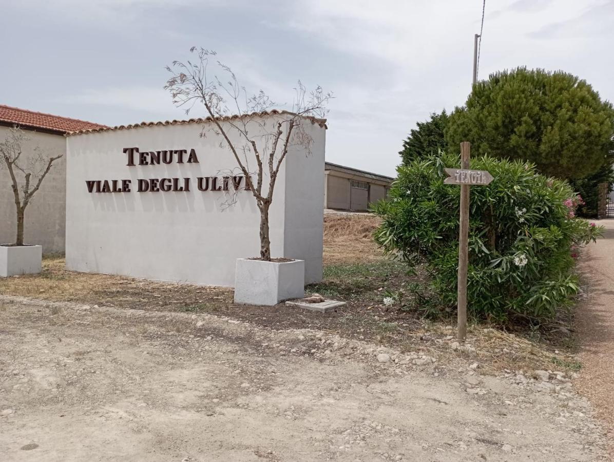 Tenuta Viale Degli Ulivi San Martino in Pensilis Eksteriør bilde