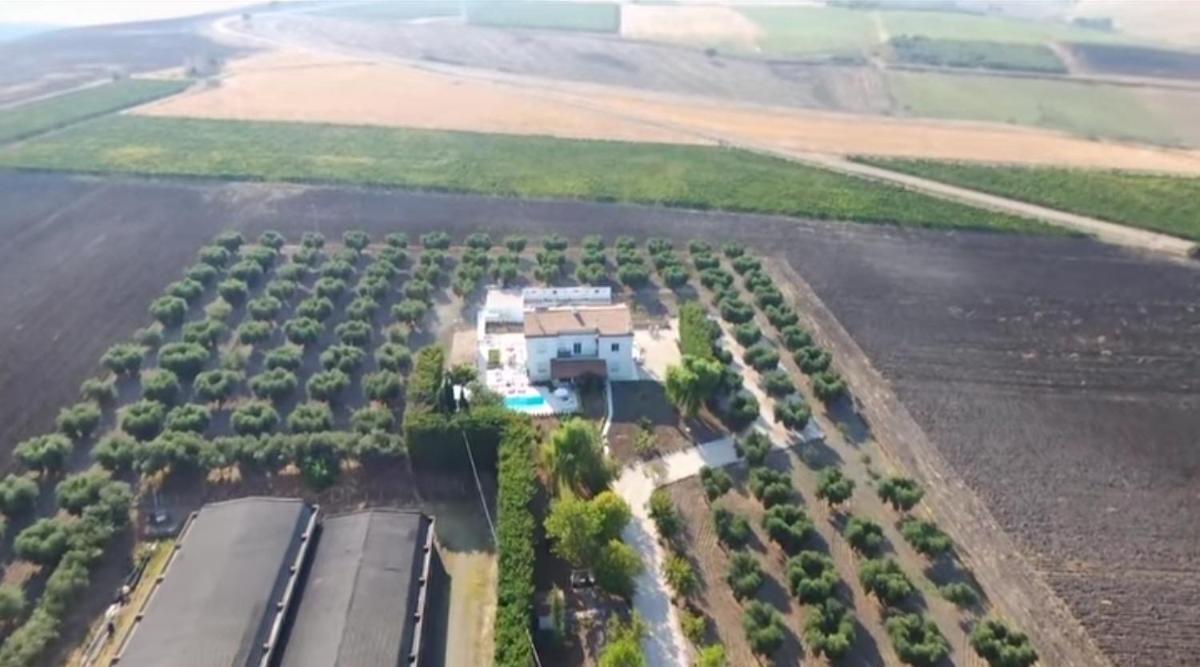 Tenuta Viale Degli Ulivi San Martino in Pensilis Eksteriør bilde