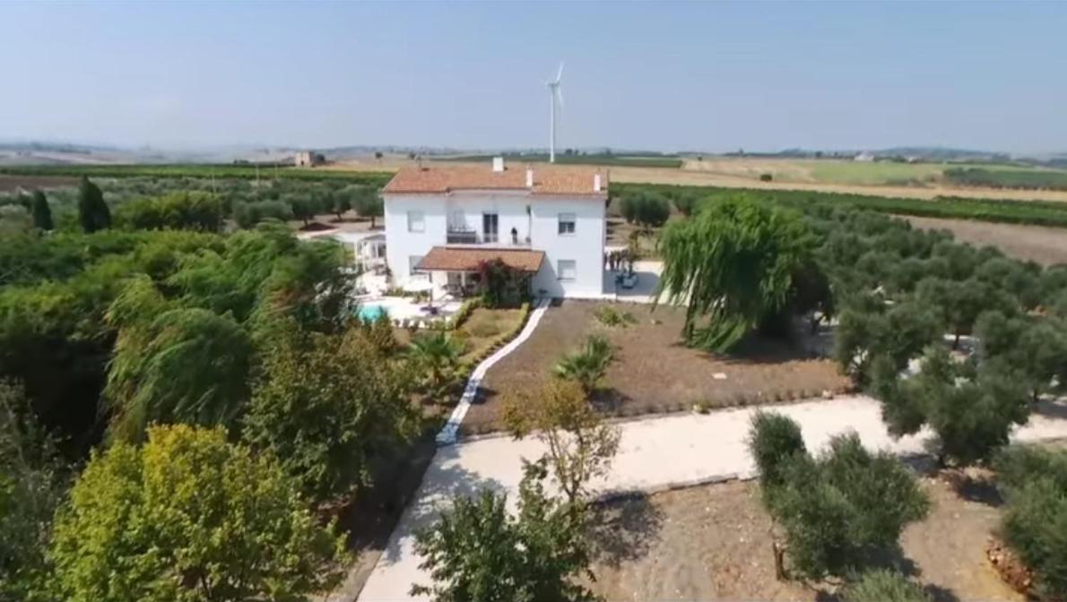 Tenuta Viale Degli Ulivi San Martino in Pensilis Eksteriør bilde