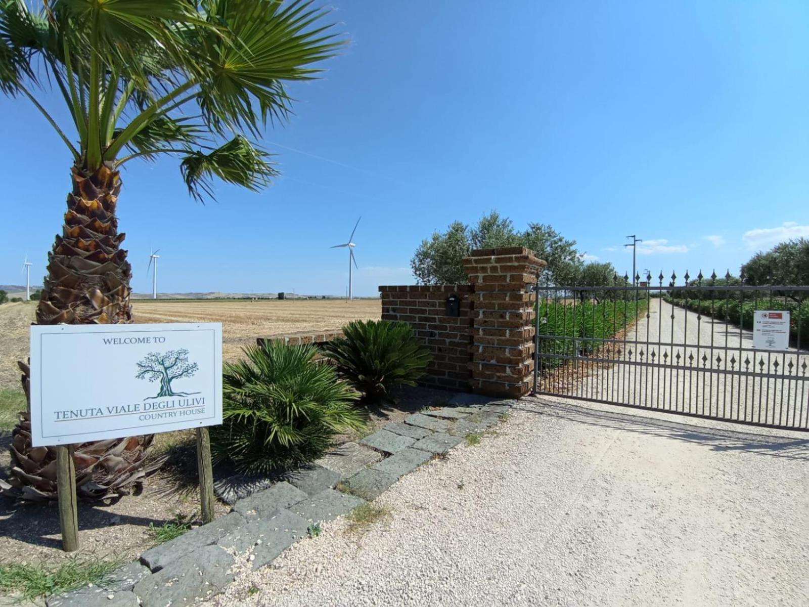 Tenuta Viale Degli Ulivi San Martino in Pensilis Eksteriør bilde
