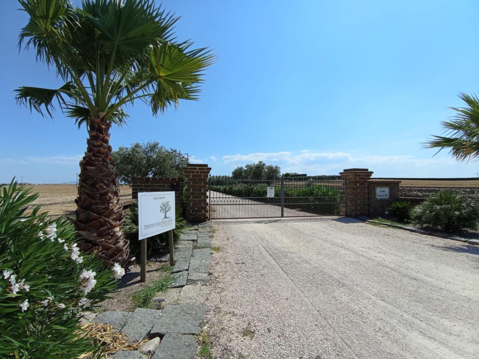 Tenuta Viale Degli Ulivi San Martino in Pensilis Eksteriør bilde