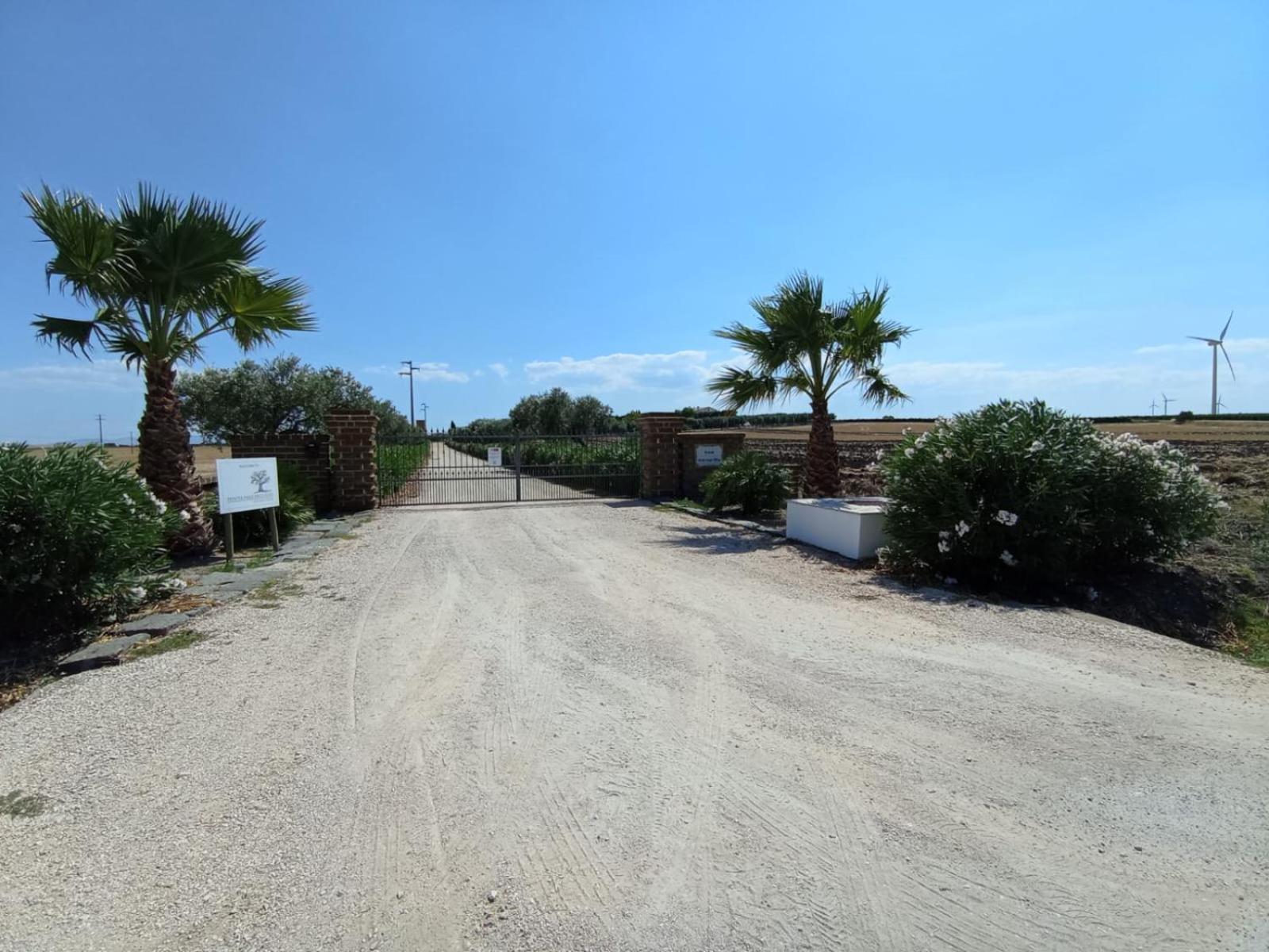 Tenuta Viale Degli Ulivi San Martino in Pensilis Eksteriør bilde